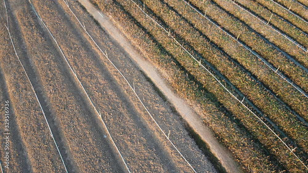 The plowed soil in vegetable plots With sprinkler systems and water pipes The plowed soil in vegetable plots With sprinkler systems and water pipes
