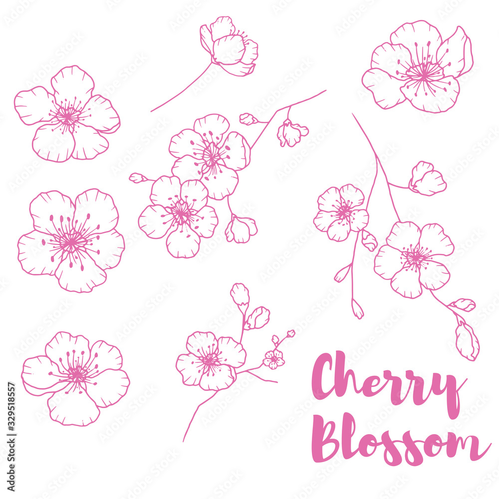 Hand drawn isolated cherry blossom illustration. Outline sakura flowers illustration set. Sakura blossom line icons. Botanical flowerscape illustration set. 