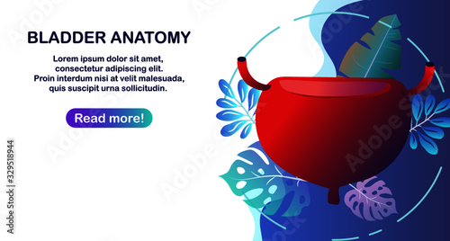 Human Bladder ,cystitis with flat style.EPS10