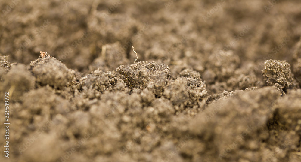 Texture of soil on the field as a background close-up.