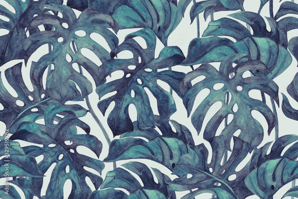 Fototapeta Monstera w kolorze tonu Duo pozostawia wzór. 