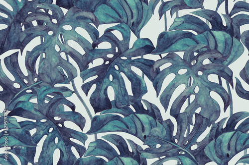 Fototapeta Monstera w kolorze tonu Duo pozostawia wzór. 
