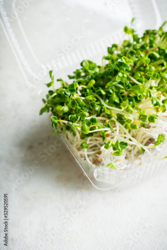 Microgreen. radish sprouts in plastic container. Selective focus. Shallow depth of field.