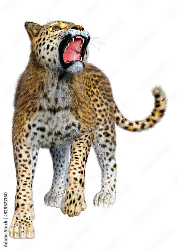 Obraz premium 3D Rendering Big Cat Leopard on White