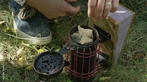 Beekeeper lights bee smoker photo