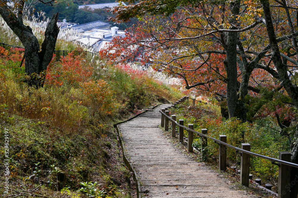 Obraz premium Beautiful Nara mountain at Nara city, Japan. Nara park is a famous place landmark