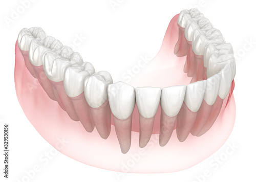 Morphology of human teeth. Medically accurate tooth 3D illustration