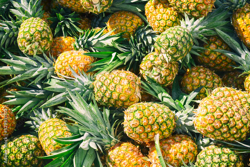 Fresh ripe pineapples as a background. Market in Dominican Republic Fresh ripe pineapples as a background. Market in Dominican Republic