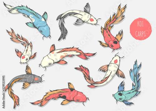 Set of hand drawn koi carps