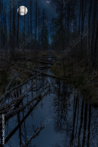 Moon over a Wetland at Night