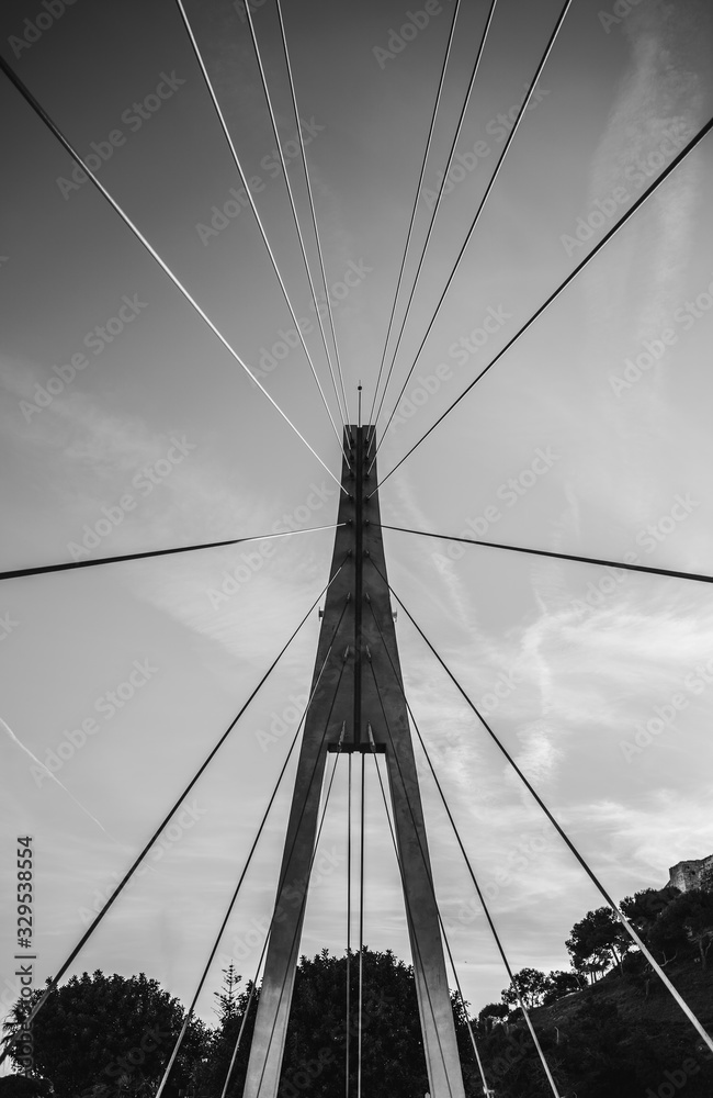 Fototapeta premium Puente geometrica