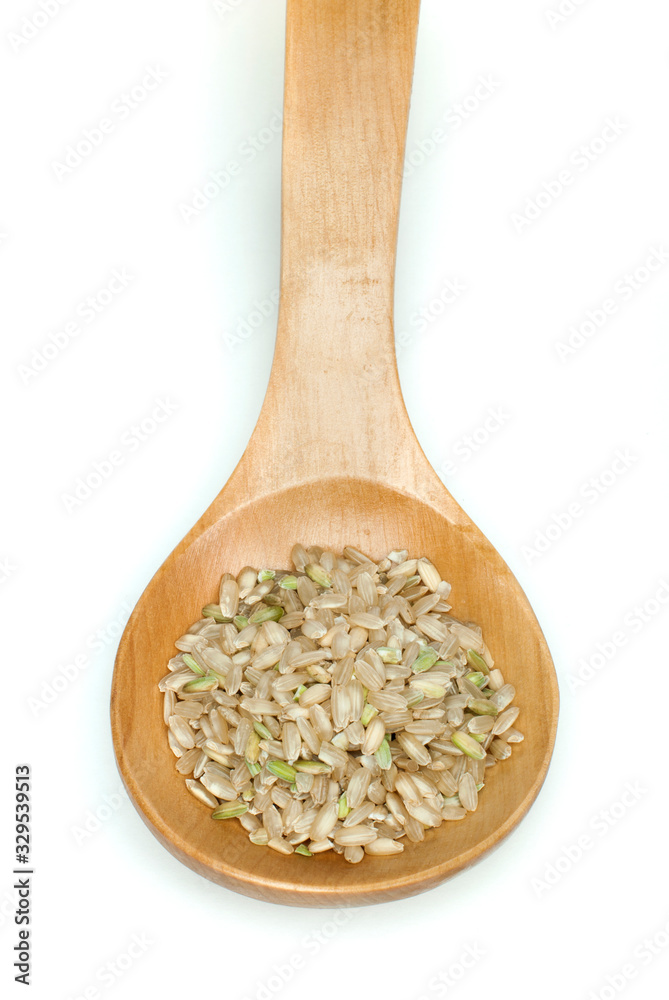 Rice integral in wooden spoon Rice integral in wooden spoon