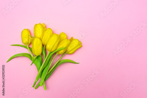 Bunch of yellow tulips on pink background. Festive layout. Copy space for text. Greeting card for holidays © IKvyatkovskaya