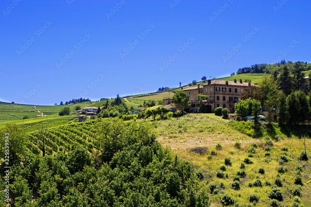 Countryside of Barolo, famous wine production city of Langhe, Piedmont, Italy