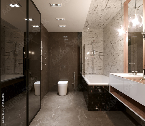 interior render  WC