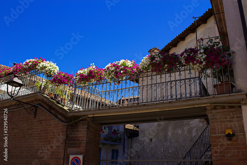 Countryside of Barolo, famous wine production city of Langhe, Piedmont, Italy