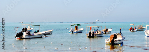 Fishermen local boats in the sunny day, Manama, Bahrain