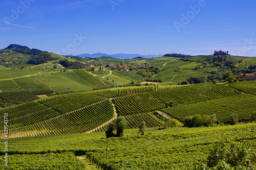 Countryside of Barolo, famous wine production city of Langhe, Piedmont, Italy