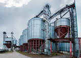 Storing grain in a group of corrugated steel granaries. Point of cleaning, drying and storage of cereals. agro granary in spring season. Agricultural business.