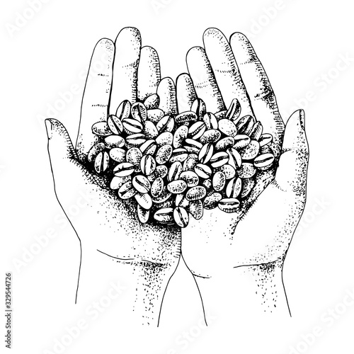 Hands holding coffee beans.