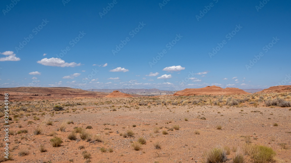 View in the desert, Arizona, View in the desert, Arizona,