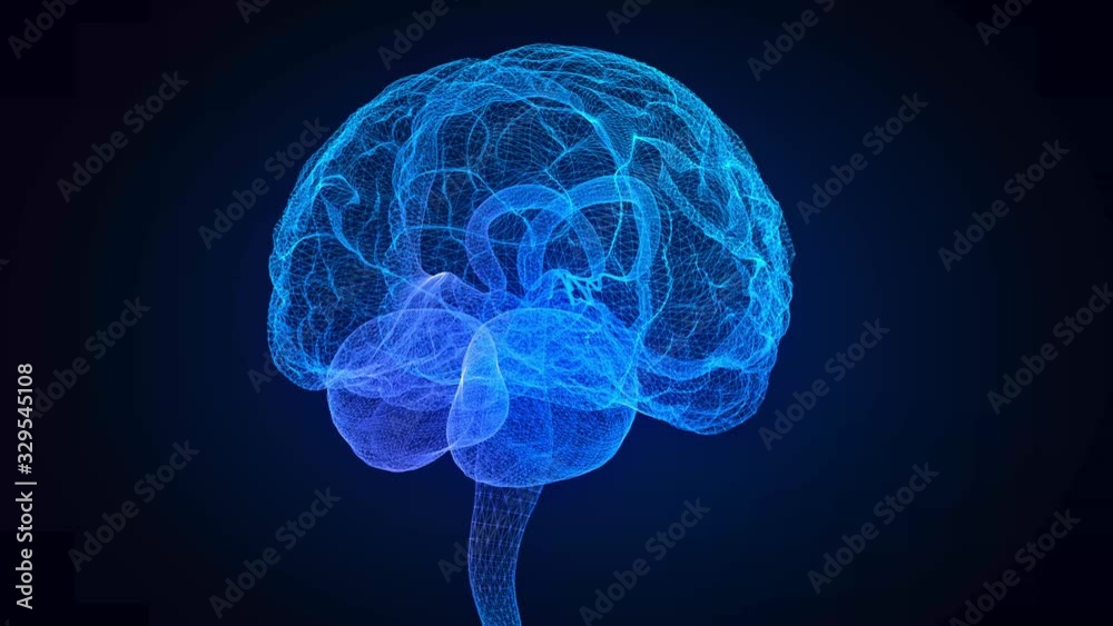 Rotating human brain. Glowing blue light line of human brain model ...
