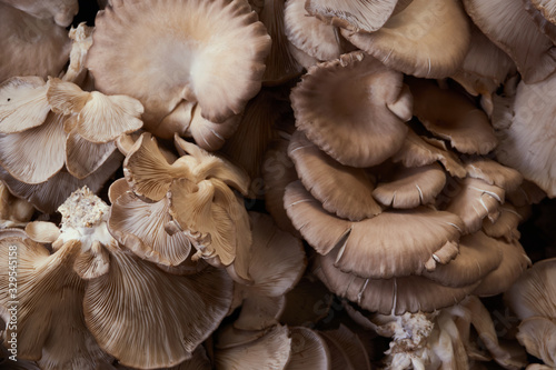 Fresh and organic mushroom in the local market