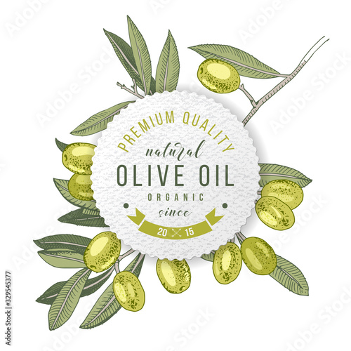 Olive oil label design over hand drawn olive branch