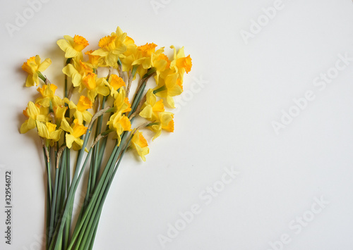 Fototapeta Naklejka Na Ścianę i Meble -  daffodils flowers