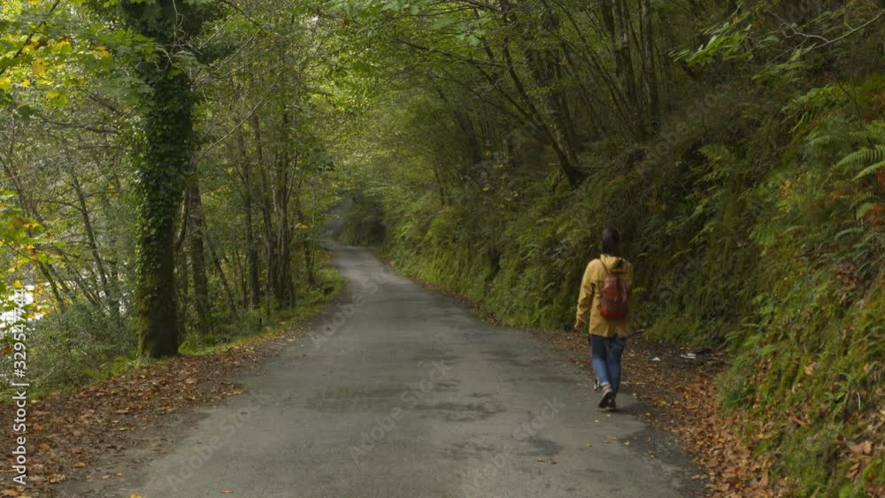 Woman walking a dog on a road in a forest green and brown autumn fall landscape in Fragas do Eume, Spain Woman walking a dog on a road in a forest green and brown autumn fall landscape in Fragas do Eume, Spain