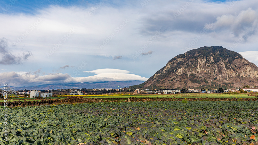 Obraz premium Horizon seen from the spring rise