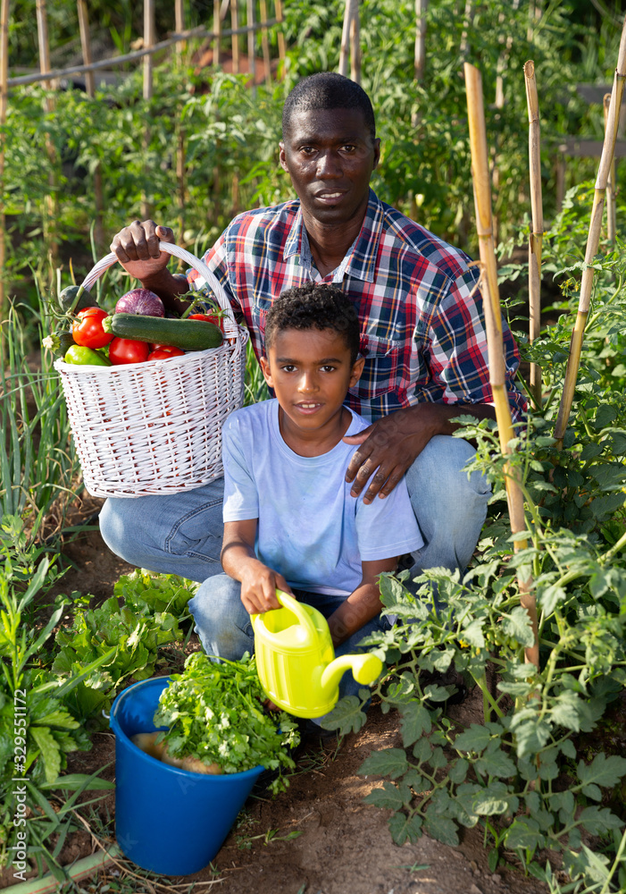 Fototapeta premium Portrait farmer and son with harvest of tomatoes, bell pepers and parsley from the garden