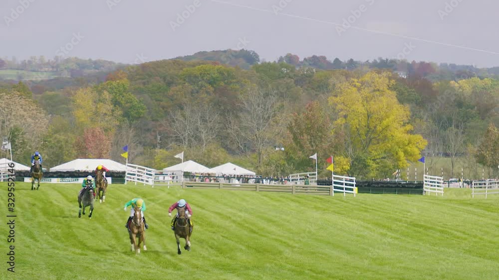 Steeplechase race homestretch to camera during autumn Steeplechase race homestretch to camera during autumn