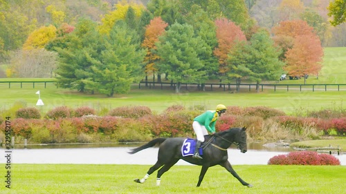 Steeplechase horse race across finish line left to right profile to camera mcu slow motion