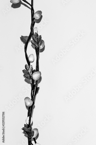 decorative artificial plant on color background © Vicente