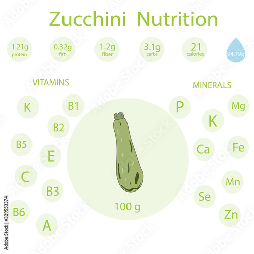 Zucchini squash nutrition fact hand drawn vector illustration.Vitamins and minerals. Isolated vegetable colorful object. Detailed vegetarian food drawing. Market product. Great for menu, fitness, diet