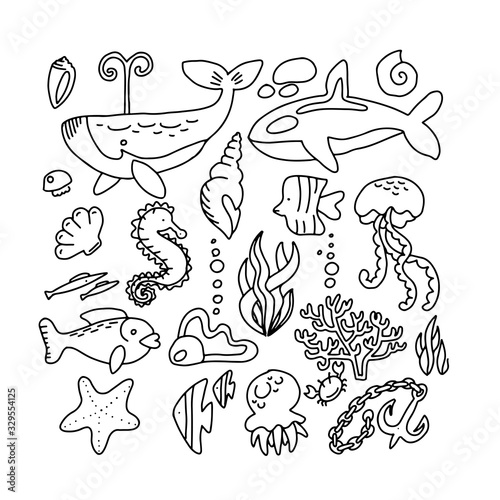 Graphic sea life collection. ocean creatures isolated on white background. Coloring book page design for adults and kids