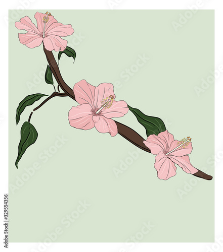 Hibiscus postcard template2