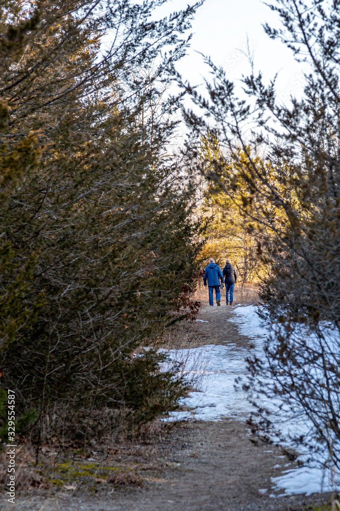 Obraz premium Late Afternoon Walk