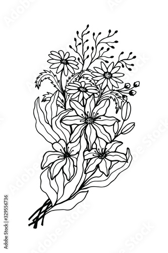 flowers bouquet of chamomile lilies. eps10 vector stock illustration. hand drawing
