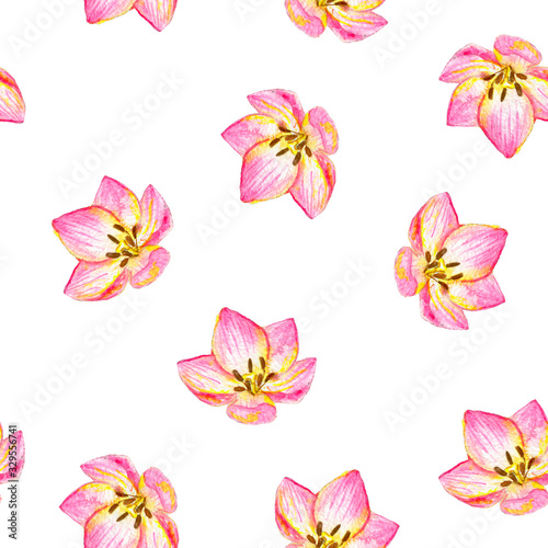 Fototapeta Naklejka Na Ścianę i Meble -  Floral seamless pattern with pink lily