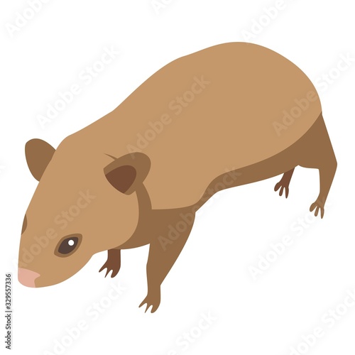 Little mice icon. Isometric of little mice vector icon for web design isolated on white background