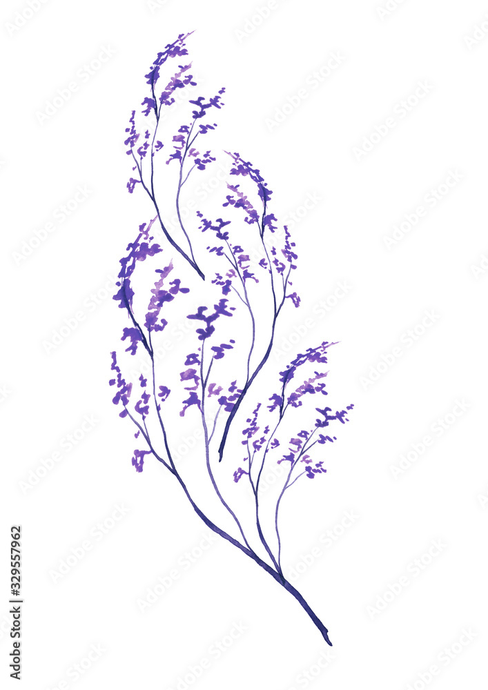 Watercolor greeting card, frame, invitation. Drawing - blue flower, branch, lavender, wildflowers, wild grass,feather, element. On a white background. Vintage art illustration. For your design, text. Watercolor greeting card, frame, invitation. Drawing - blue flower, branch, lavender, wildflowers, wild grass,feather, element. On a white background. Vintage art illustration. For your design, text.