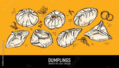 Different dumplings types. Manty, dumplings, pyanse and buuzy. Hand drawing vector sketch.