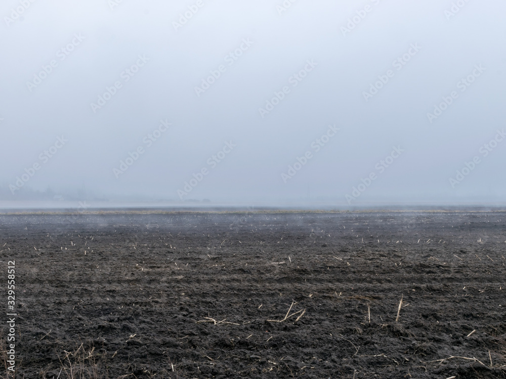fog landscape, blurred background