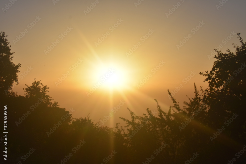 Fototapeta premium Sunset
