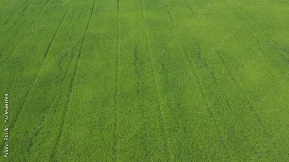 field background, top view landscape, nature field background, top view landscape, nature
