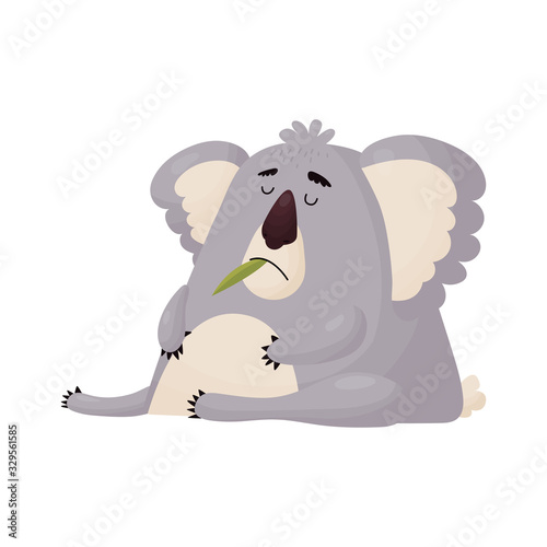 Funny Koala ate too much leaves and dozed off.
