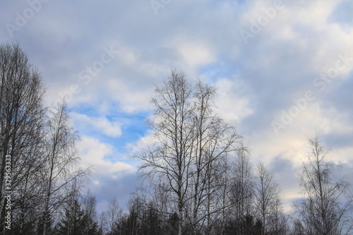 Kostomuksha, Karelia, Russia.There are blue skies and clouds.March, 10.2020. © Людмилa