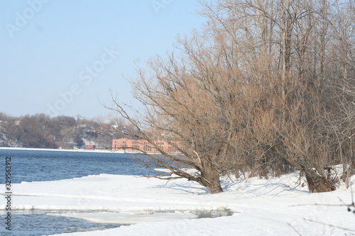 Arbol Invierno